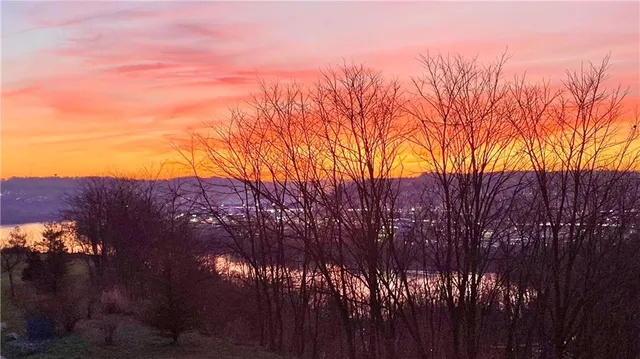 a view of mountain with trees in the background