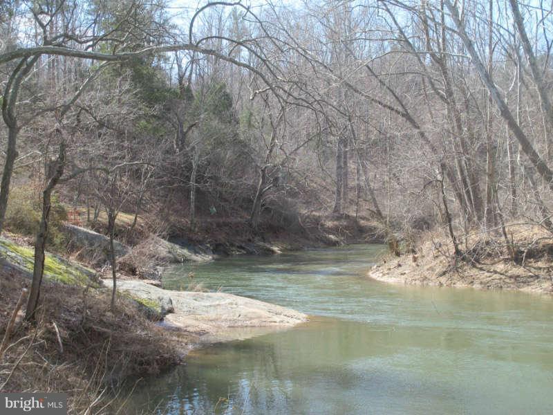 419 Laurel Mills Road Castleton, VA 22716 - Photo 21 of 30 Thornton River Frontage