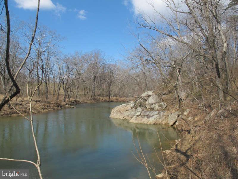 419 Laurel Mills Road Castleton, VA 22716 - Photo 23 of 30 Thornton River Frontage