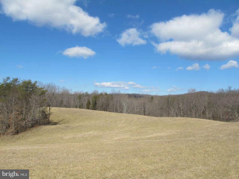 419 Laurel Mills Road Castleton, VA 22716 - Photo 26 of 30 Pasture