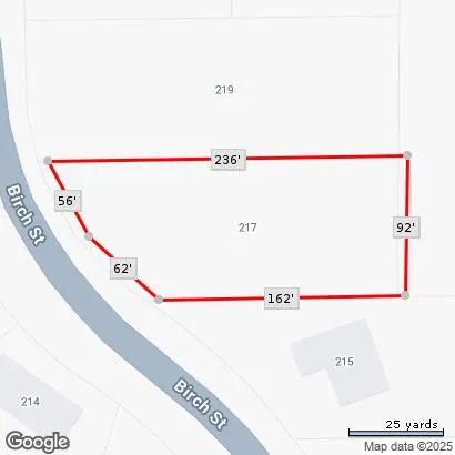 $349,999 | 217 Birch Street, Litchfield, MI 49252