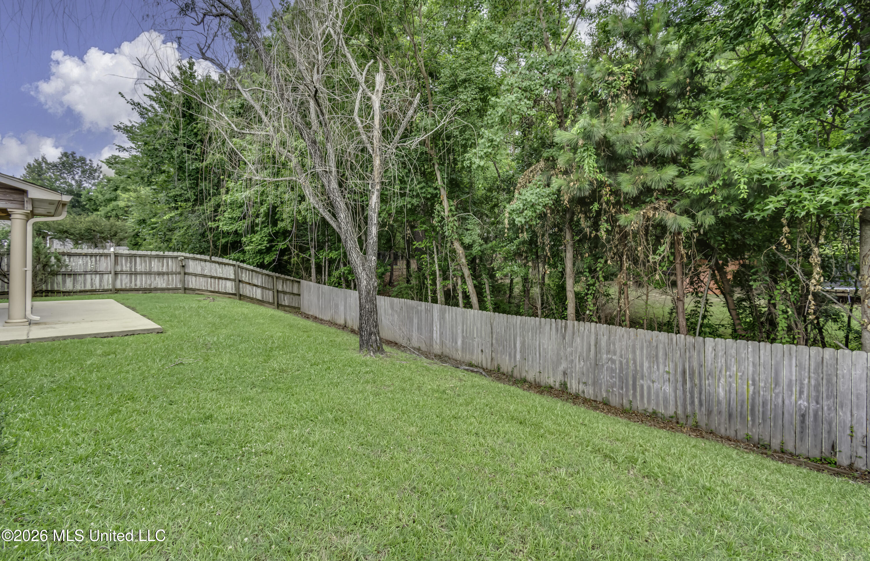 164 Britton Circle Flowood, MS 39232 - Photo 14 of 51 164 Britton Cir--16