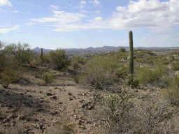0 East Stonehedge Ranch Road, Unit 4 Wickenburg, AZ 85390 - Photo 1 of 6 Primary Photo