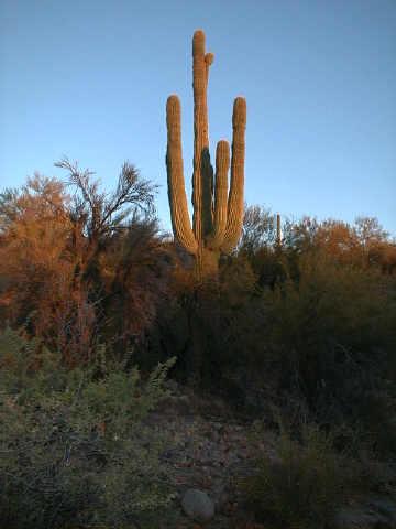0 East Stonehedge Ranch Road, Unit 4 Wickenburg, AZ 85390 - Photo 2 of 6 Additional Photo