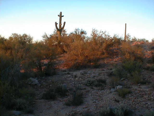 0 East Stonehedge Ranch Road, Unit 4 Wickenburg, AZ 85390 - Photo 3 of 6 Additional Photo
