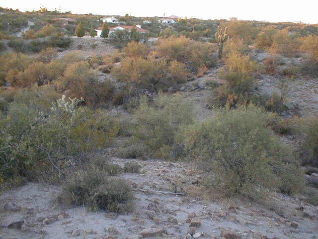 0 East Stonehedge Ranch Road, Unit 4 Wickenburg, AZ 85390 - Photo 4 of 6 Additional Photo