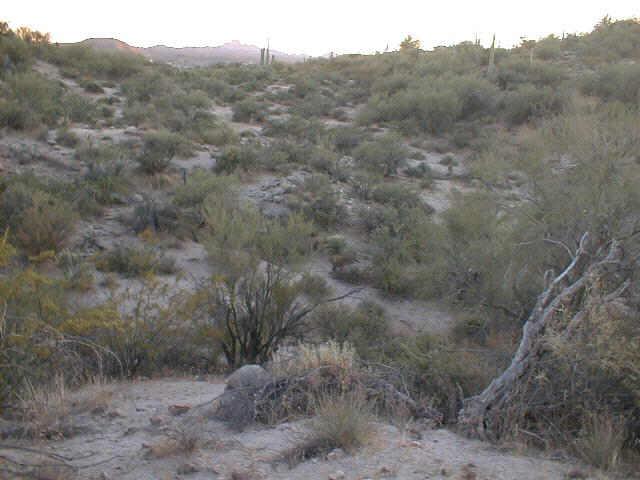 0 East Stonehedge Ranch Road, Unit 4 Wickenburg, AZ 85390 - Photo 6 of 6 Additional Photo