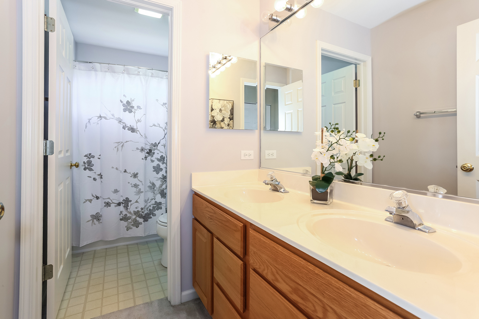 5460 Sullivan Pass Lake In The Hills, IL 60156 - Photo 35 of 51 a bathroom with a sink and a mirror
