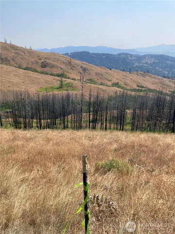 a view of tall trees with wooden fence