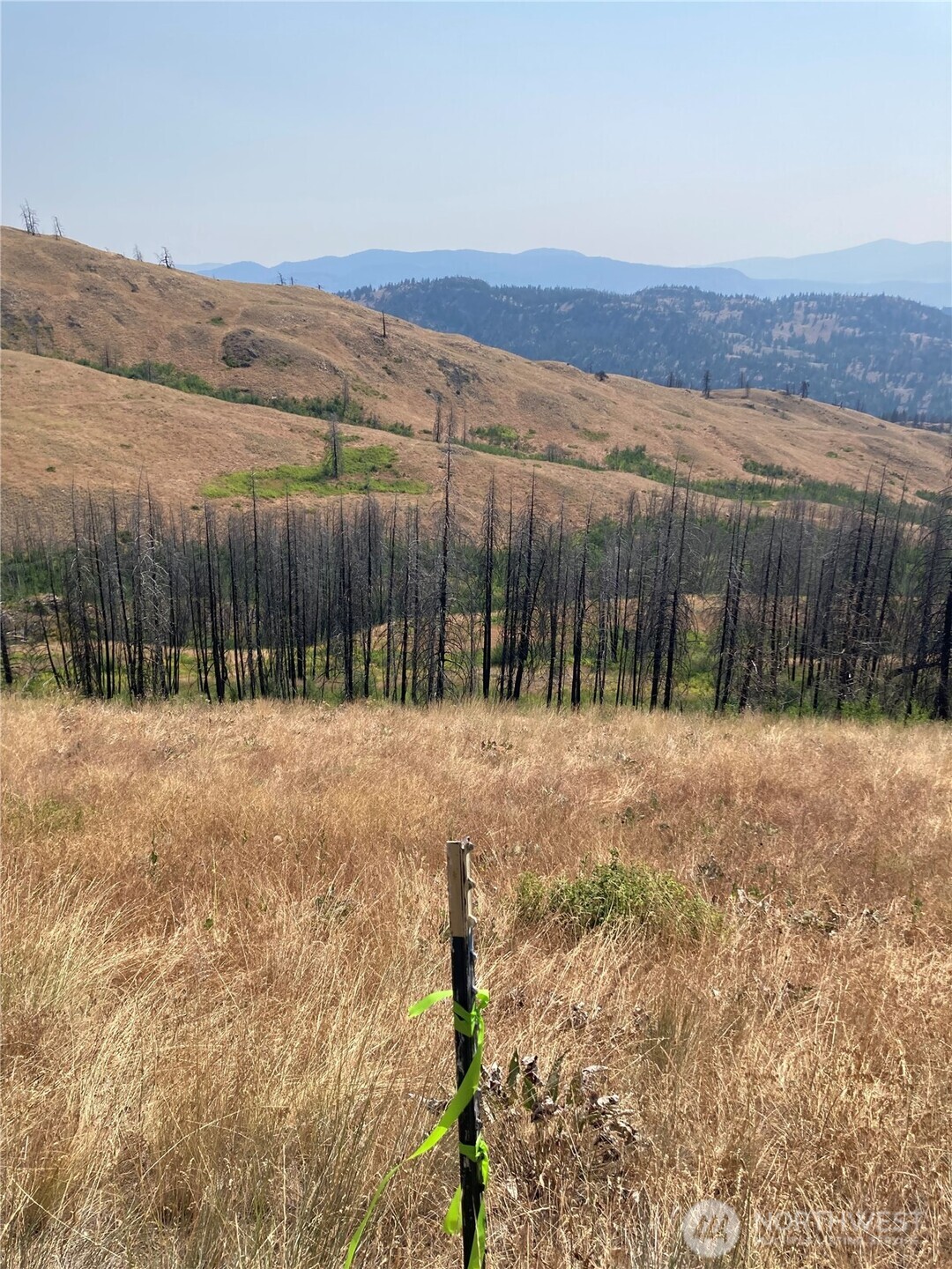 a view of tall trees with wooden fence