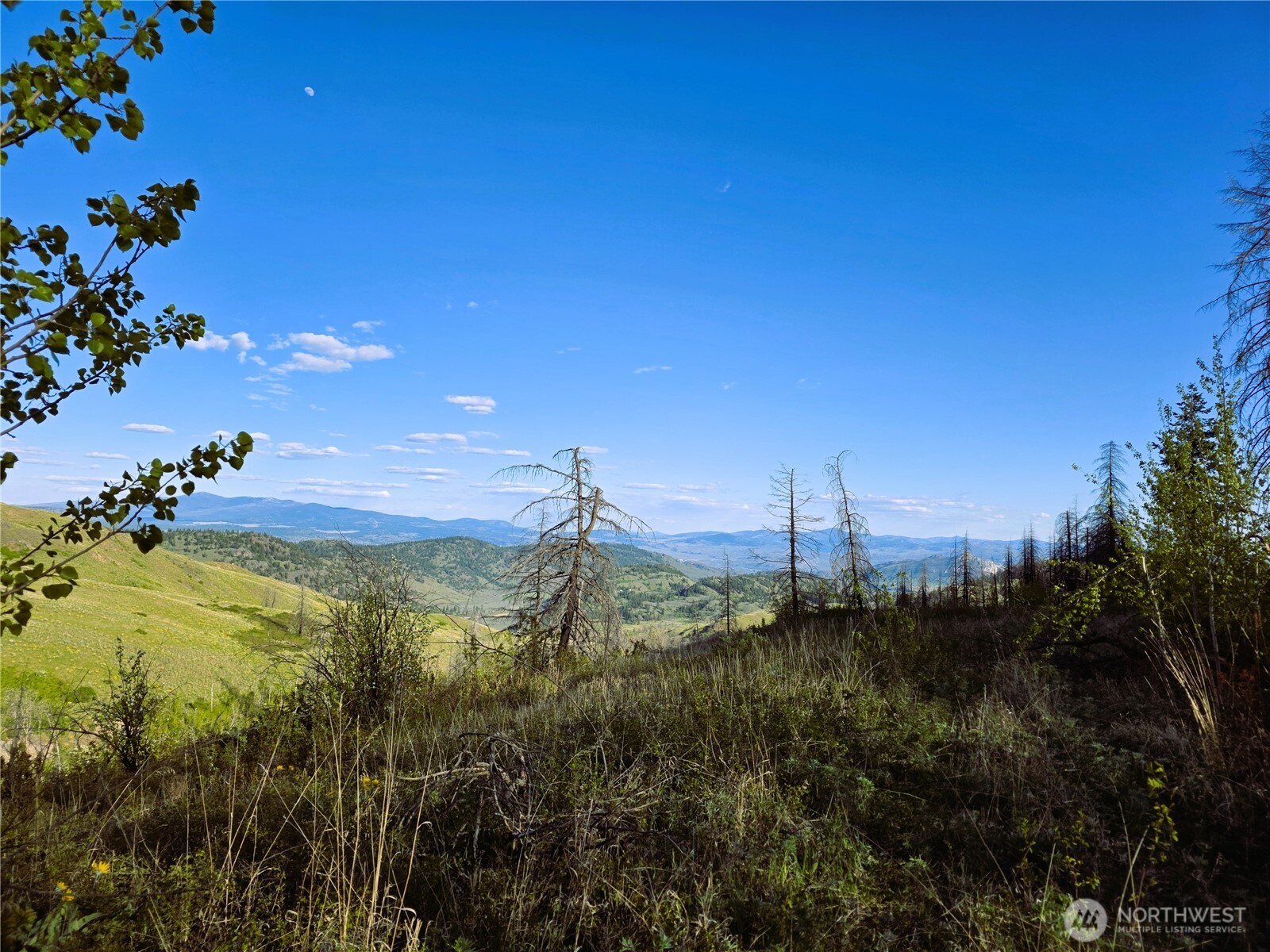 1111 Bottom Road Oroville, WA 98844 - Photo 1 of 16