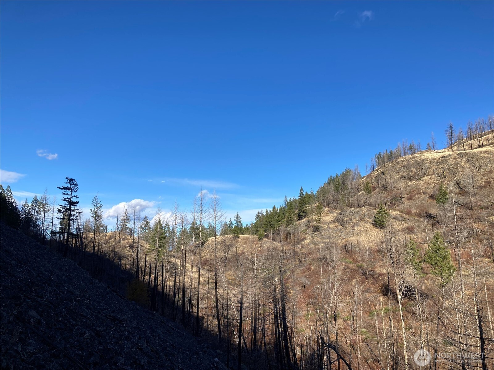 1111 Bottom Road Oroville, WA 98844 - Photo 11 of 15