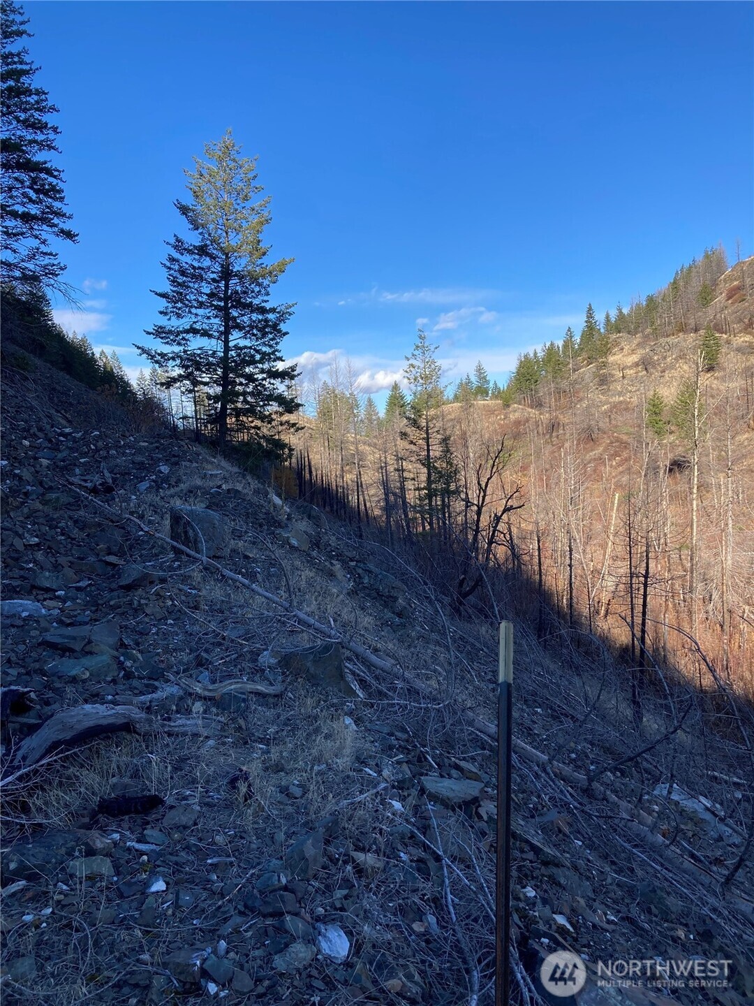 1111 Bottom Road Oroville, WA 98844 - Photo 12 of 15 a view of a backyard of a house