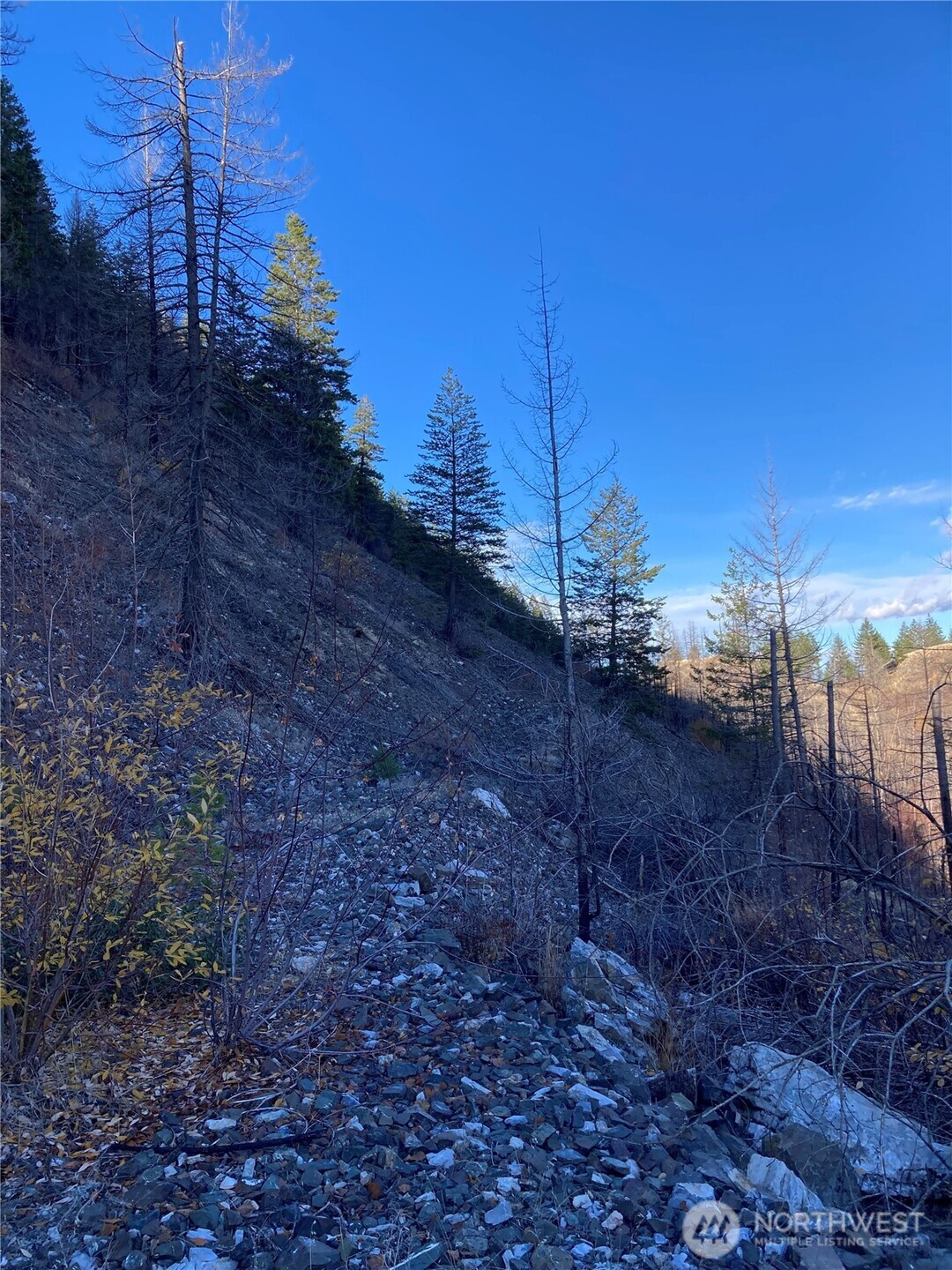 1111 Bottom Road Oroville, WA 98844 - Photo 13 of 15 a view of a yard
