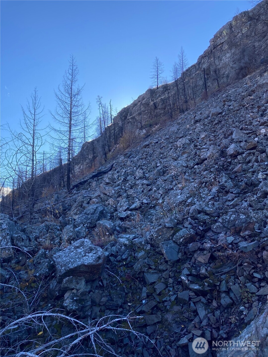 1111 Bottom Road Oroville, WA 98844 - Photo 14 of 15 a view of a dry yard