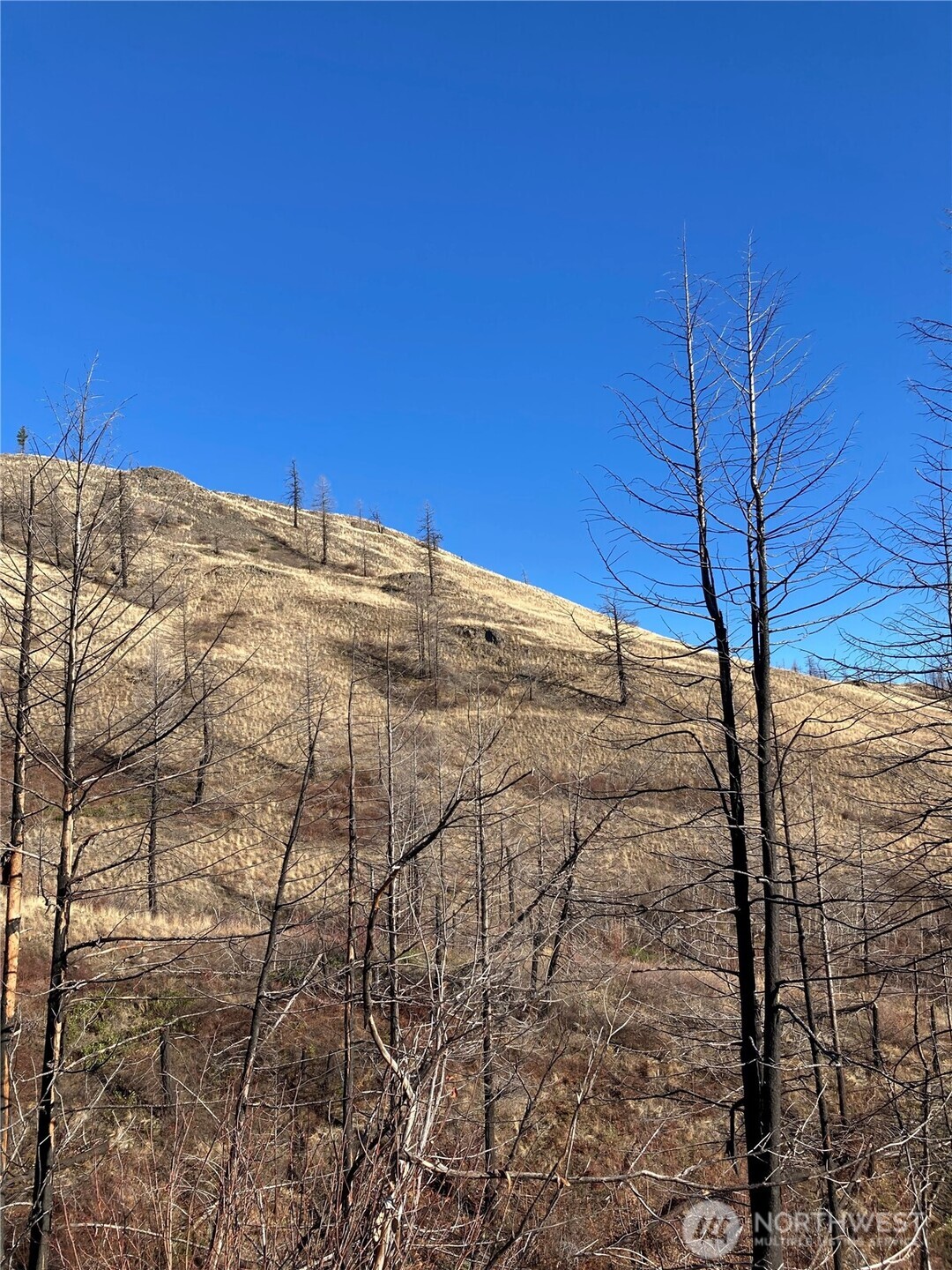 1111 Bottom Road Oroville, WA 98844 - Photo 15 of 15 a view of a large building with an outdoor space