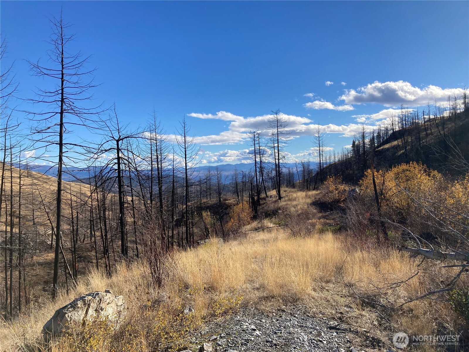 1111 Bottom Road Oroville, WA 98844 - Photo 3 of 15 a view of a lake