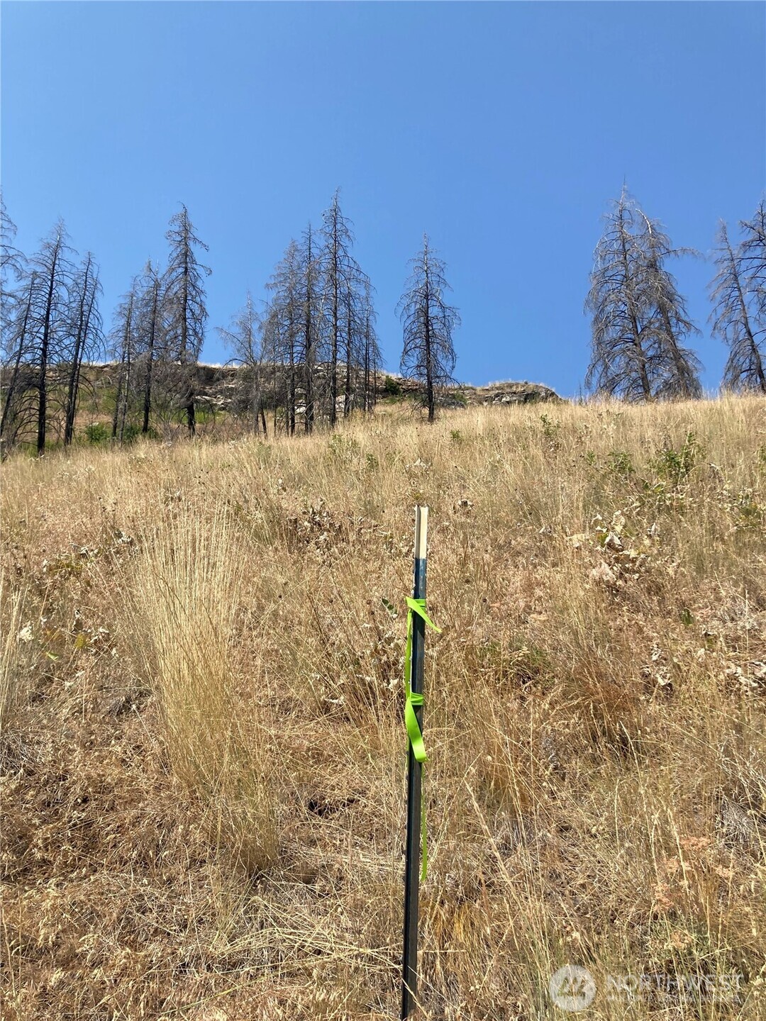 1111 Bottom Road Oroville, WA 98844 - Photo 4 of 15 a view of a pathway with a building in the background