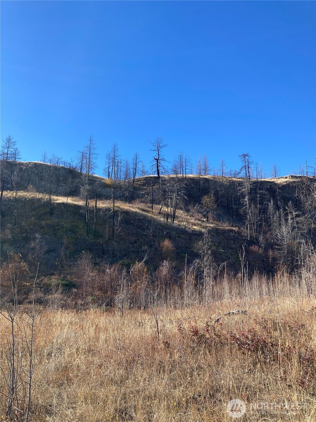 1111 Bottom Road Oroville, WA 98844 - Photo 6 of 15 a view of river covered by trees and sunset