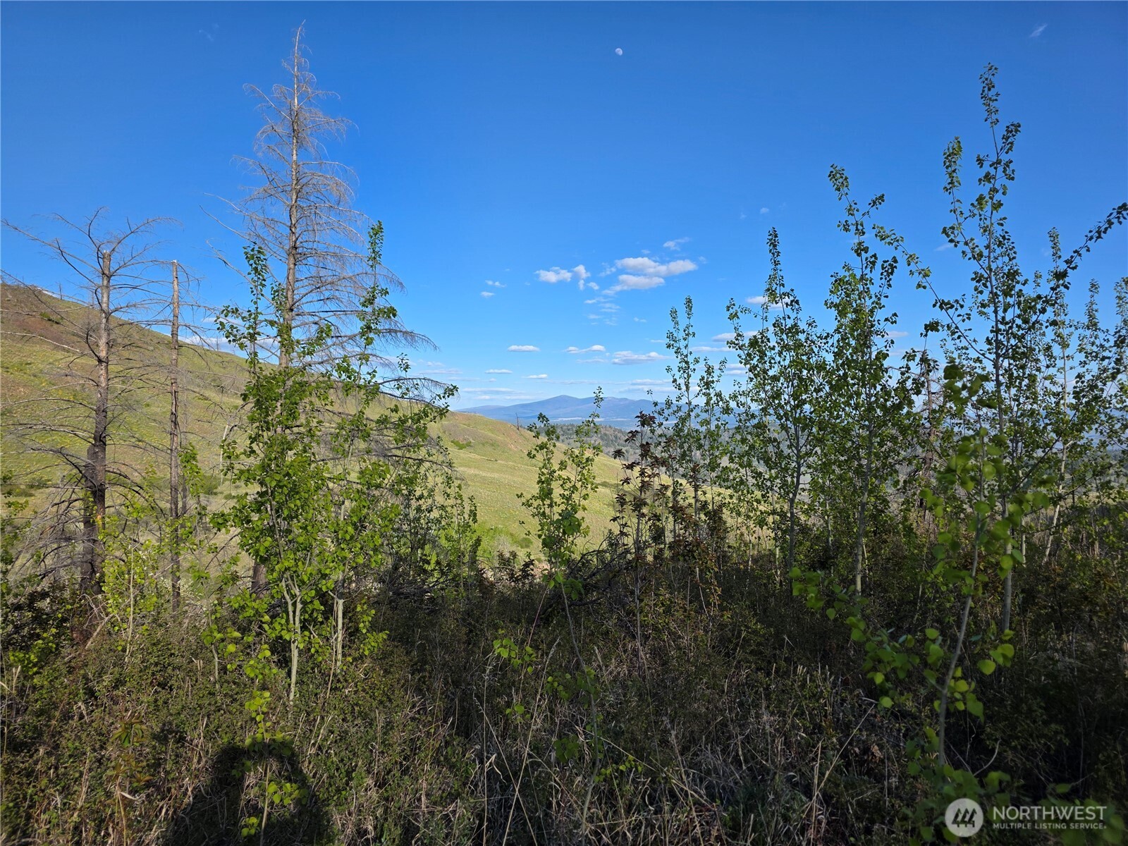 1111 Bottom Road Oroville, WA 98844 - Photo 7 of 16