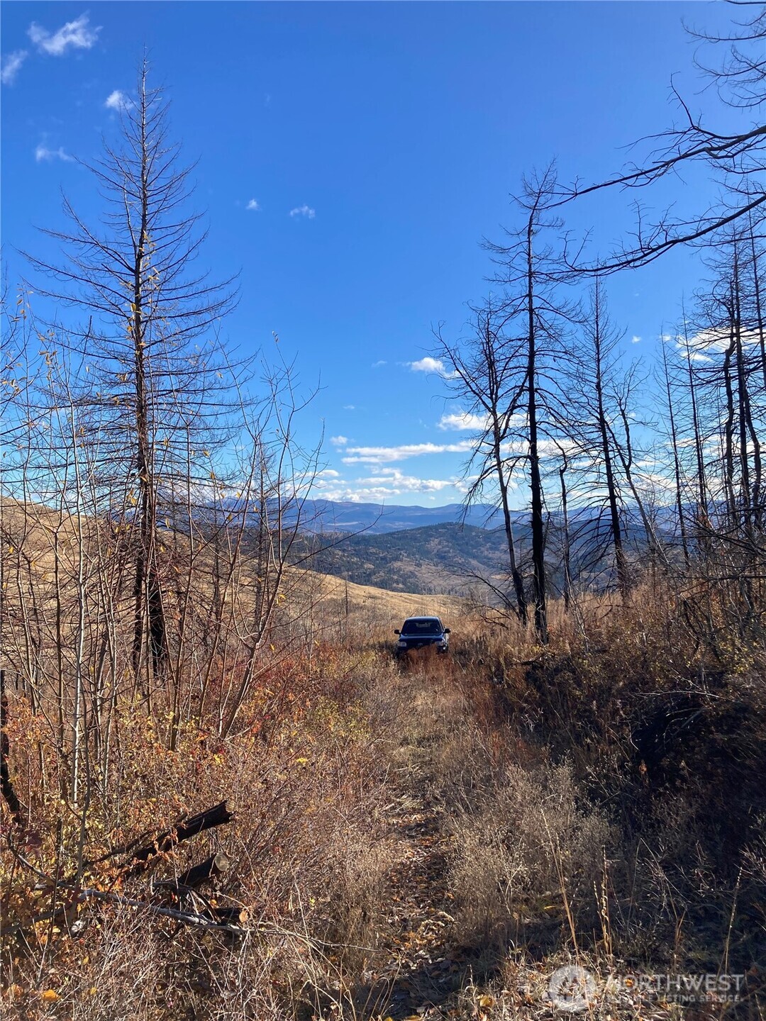 1111 Bottom Road Oroville, WA 98844 - Photo 7 of 15 a view of a room with lots of trees