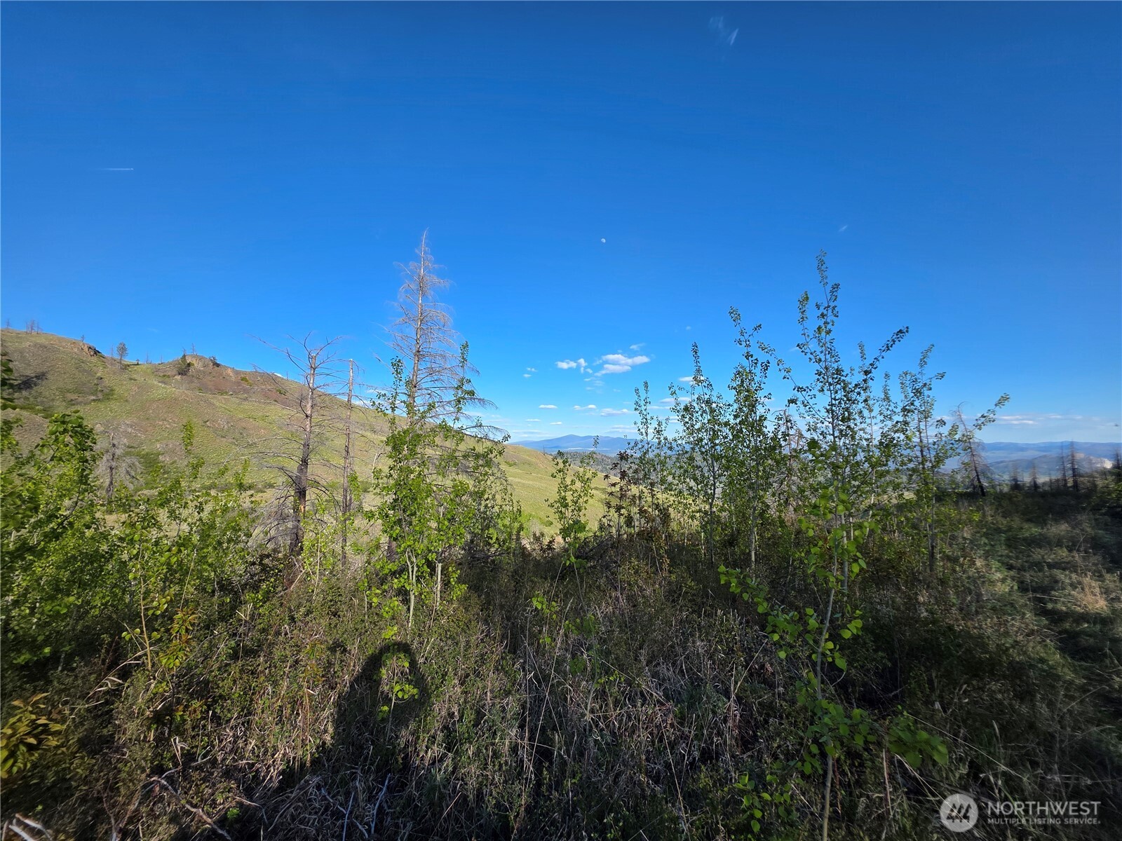 1111 Bottom Road Oroville, WA 98844 - Photo 8 of 16