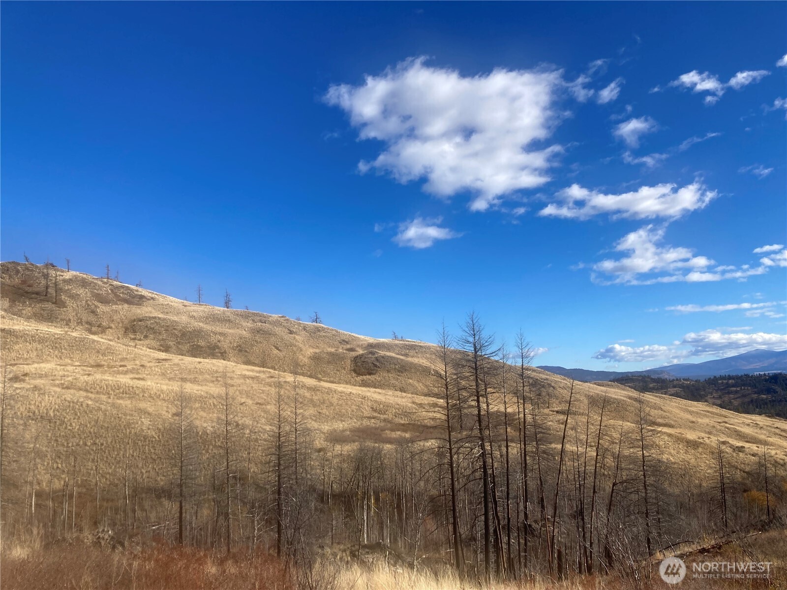 1111 Bottom Road Oroville, WA 98844 - Photo 8 of 15