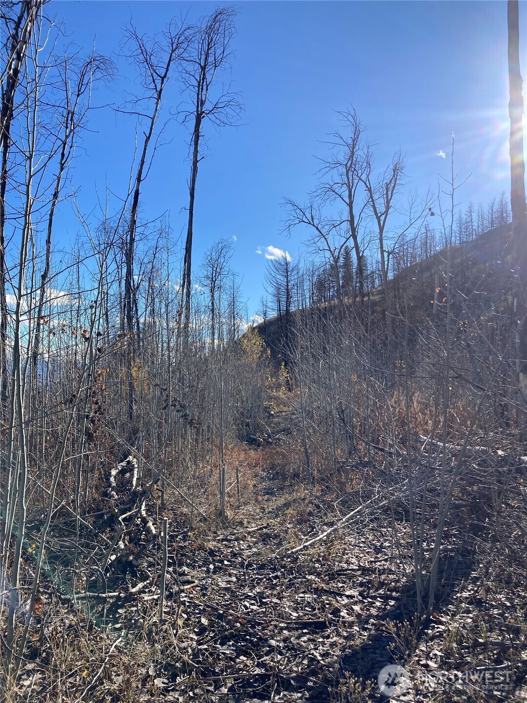 1111 Bottom Road Oroville, WA 98844 - Photo 9 of 15 a view of a dry yard
