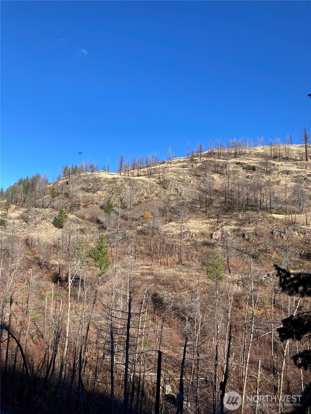 1111 Bottom Road Oroville, WA 98844 - Photo 10 of 15 a view of a building