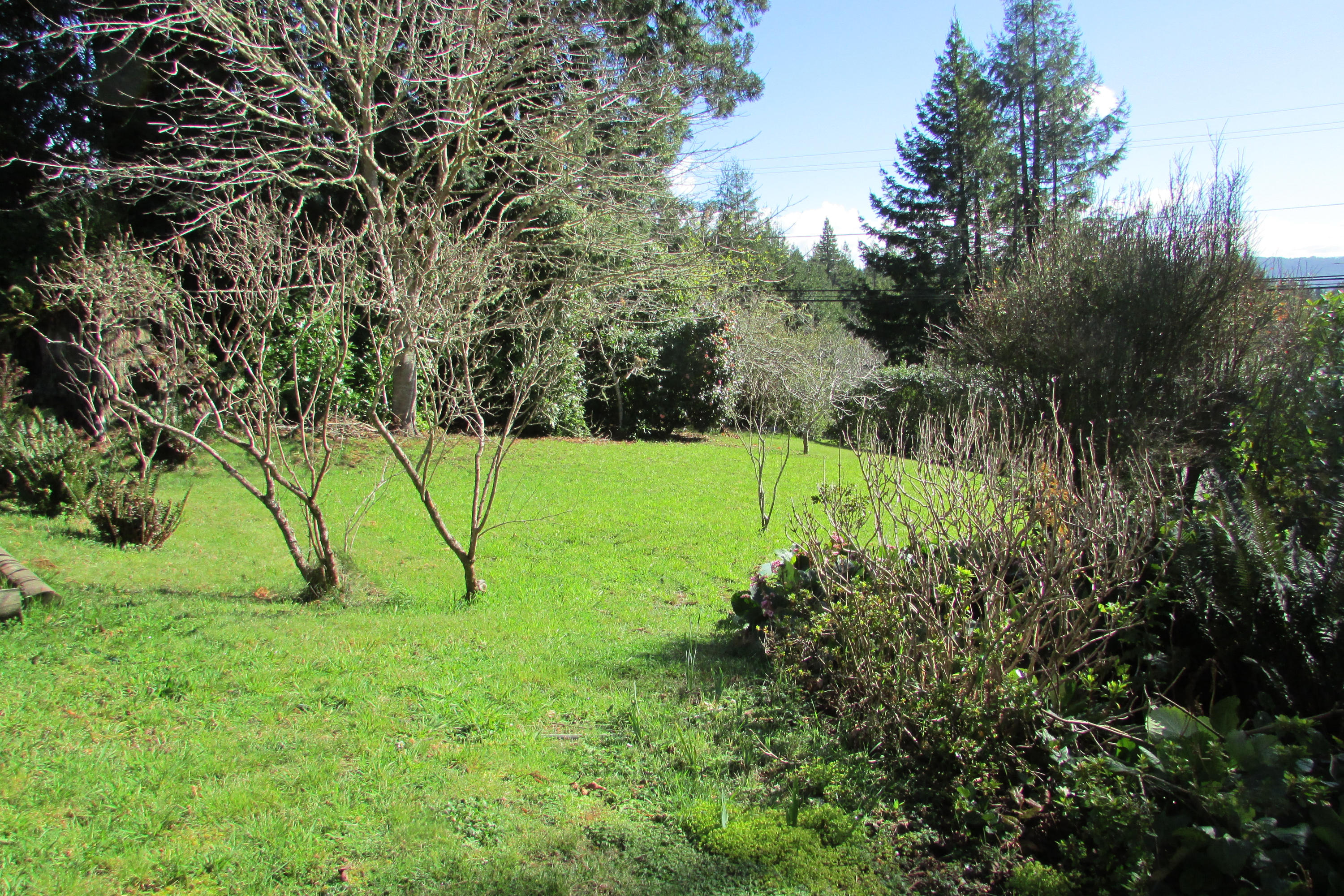 1736 Fickle Hill Road Arcata, CA 95521 - Photo 35 of 40 Gallery Image 35