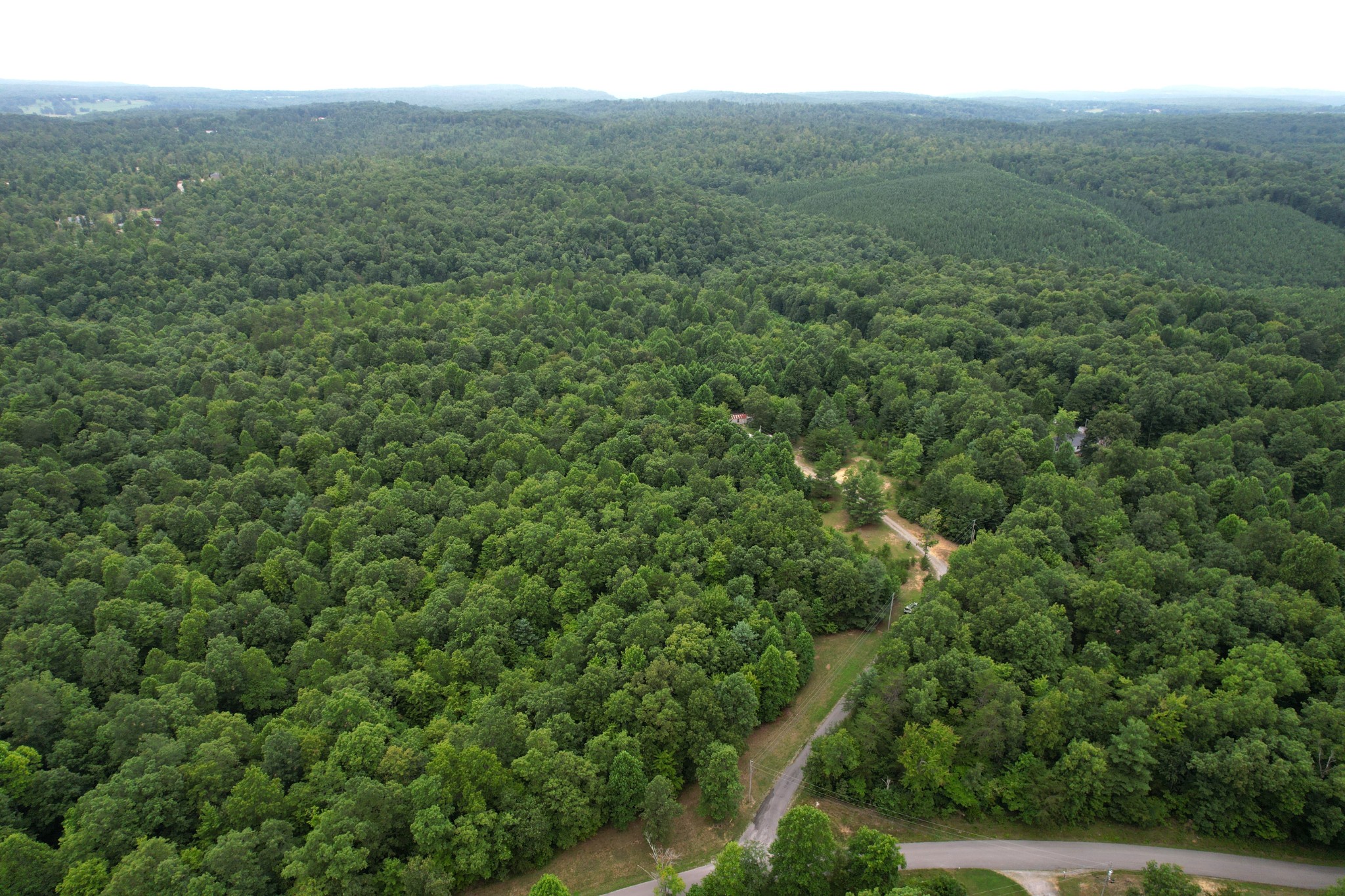 0 Ault Road Sparta, TN 38583 - Photo 6 of 11 Gallery Image 6