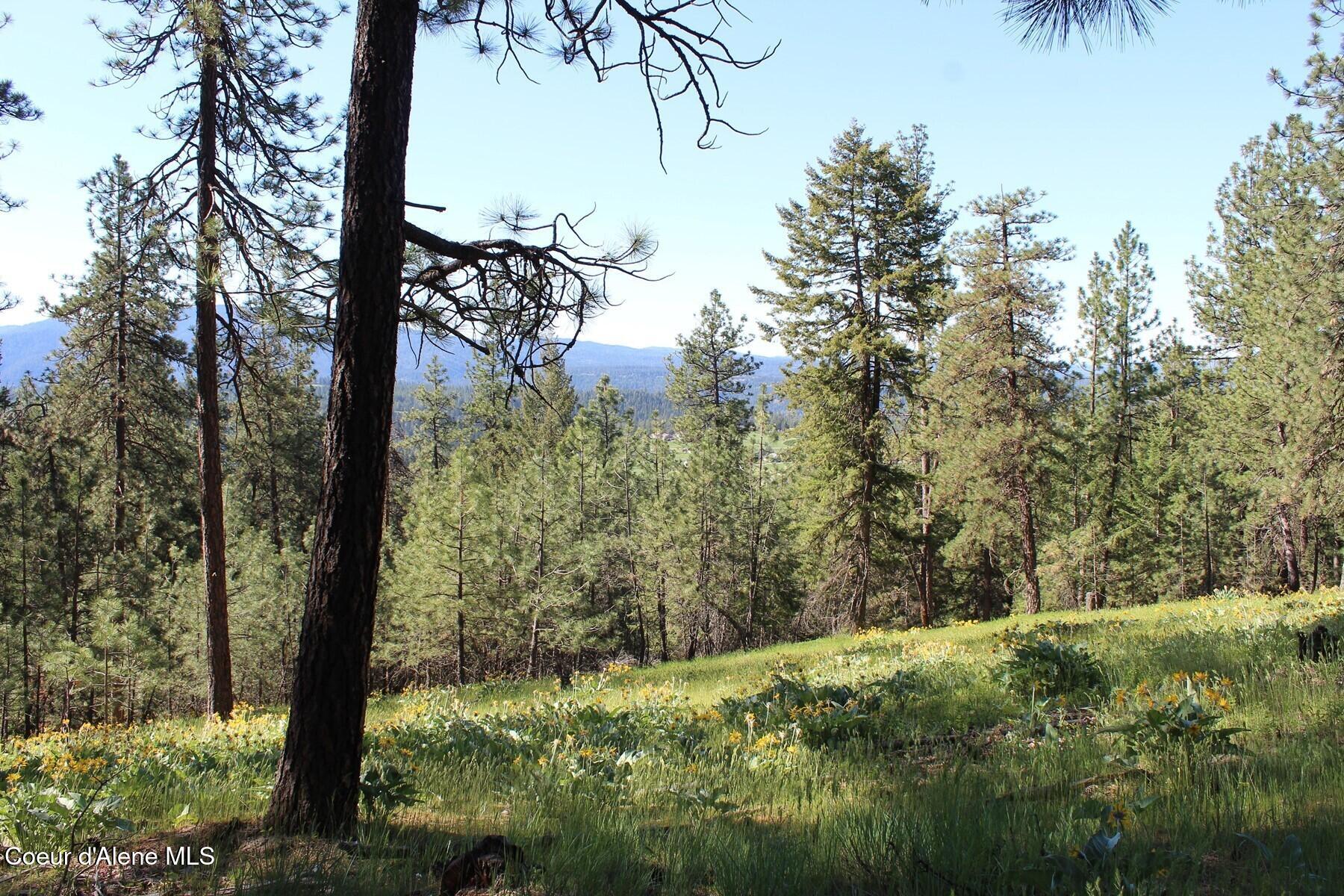 881 South Allen Road Coeur D'Alene, ID 83814 - Photo 25 of 26 IMG_7256