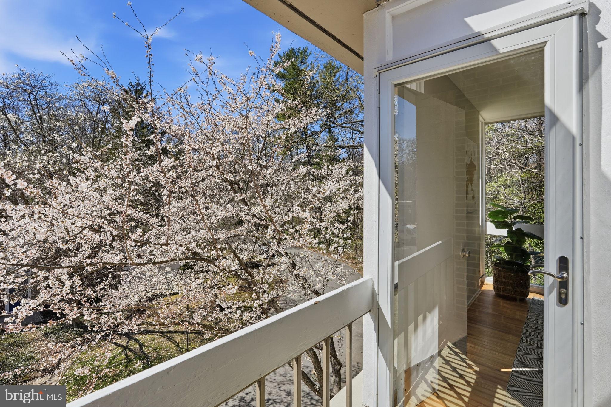 11526 Maple Ridge Road Reston, VA 20190 - Photo 44 of 52 Balcony off bedrooms #2 & #3 with goregeous views