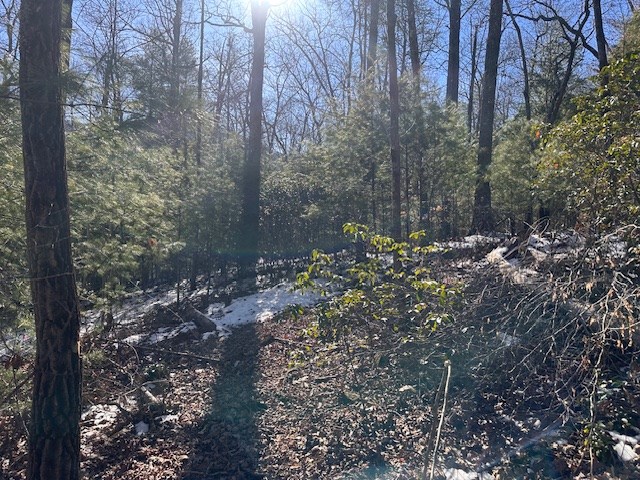 Gallery Image 6