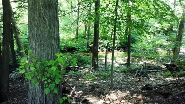 16349 West Fruitport Road Spring Lake, MI 49456 - Photo 6 of 24 Additional Photo