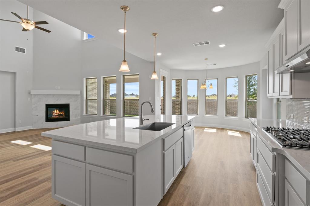 2113 Birch Street Mansfield, TX 76063 - Photo 13 of 38 DAL_South Pointe_Lockhart II_ 2113 Birch Street (13)