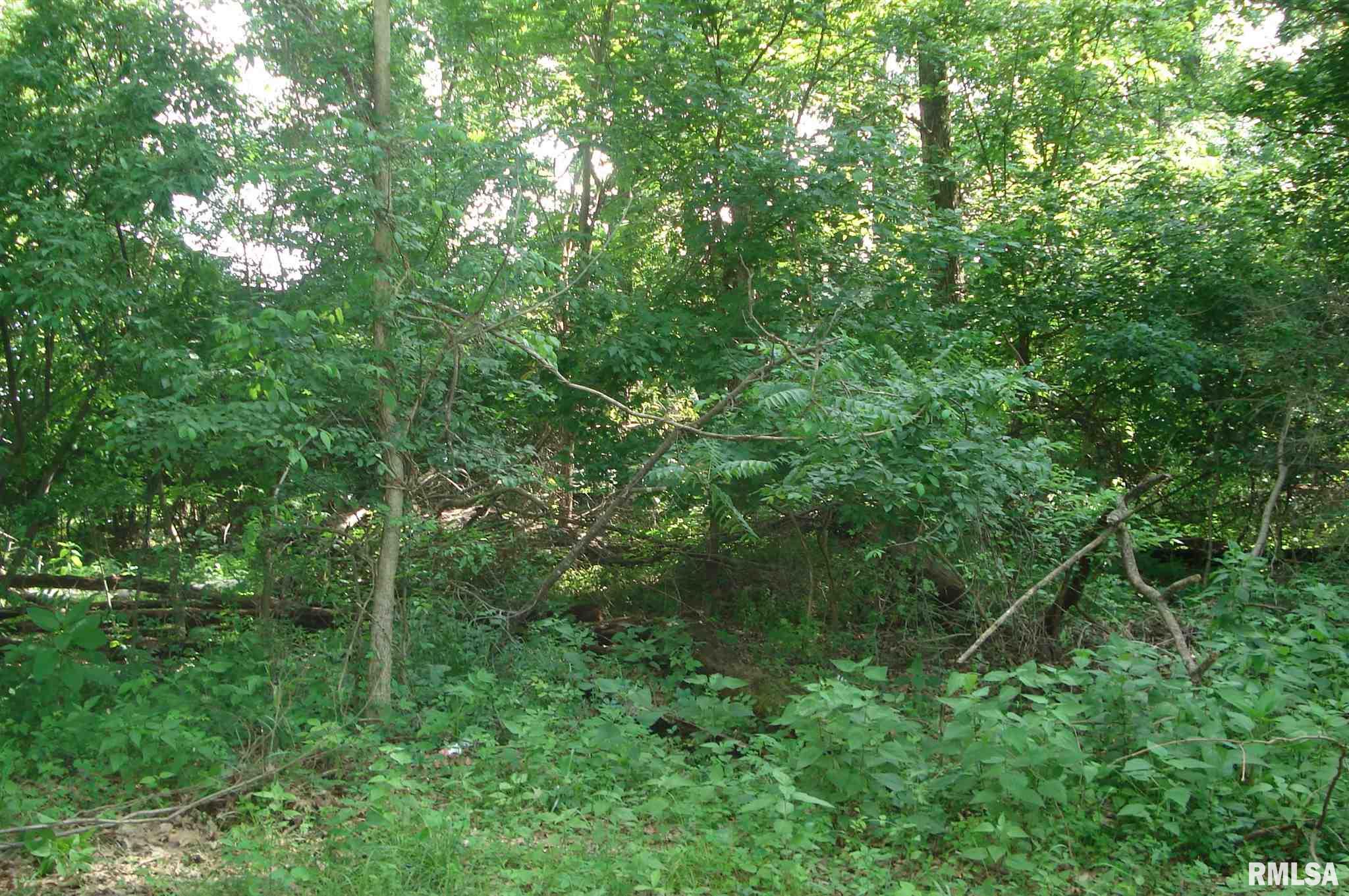 203 North Spillertown Road Marion, IL 62959 - Photo 12 of 13 Gallery Image 12