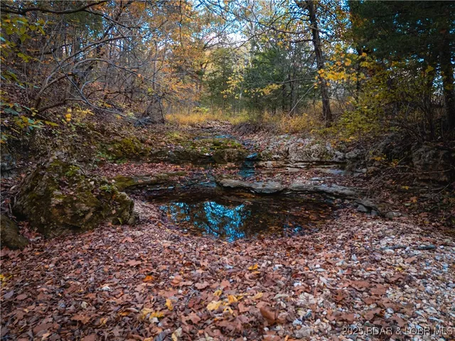 $1,480,000 | 14613 Old Marvin Road, Versailles, MO 65084