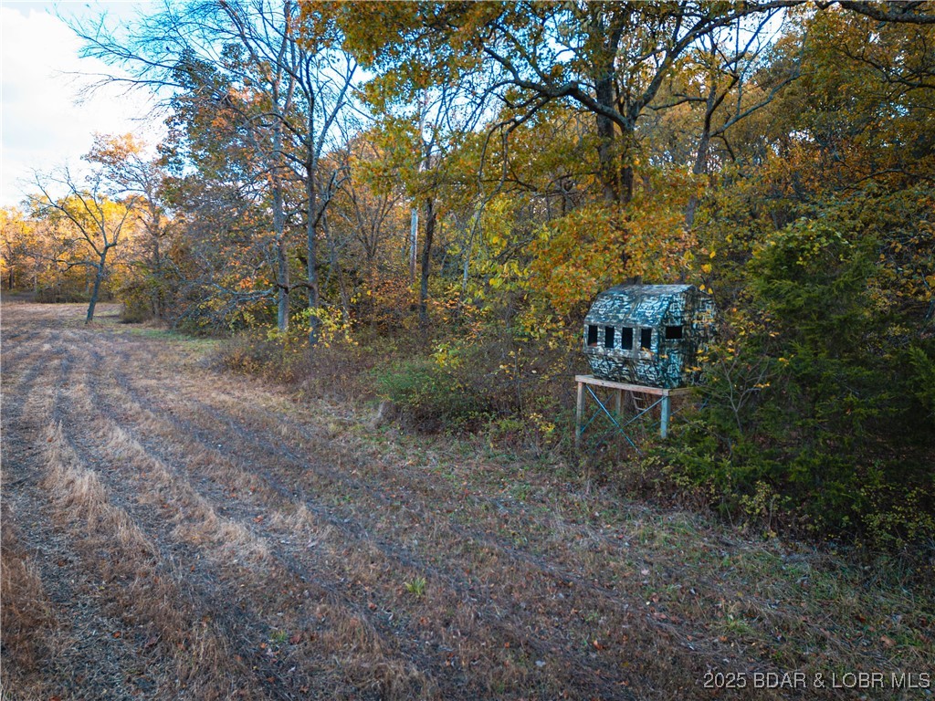 14613 Old Marvin Road Versailles, MO 65084 - Photo 68 of 73