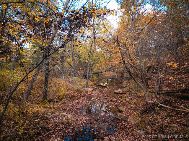 $1,480,000 | 14613 Old Marvin Road, Versailles, MO 65084