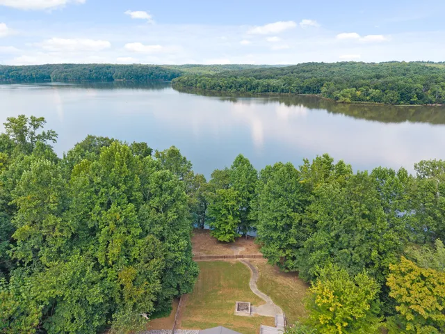 a view of a lake in middle of forest