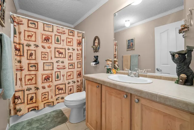 a view of a house with pool plants and large trees