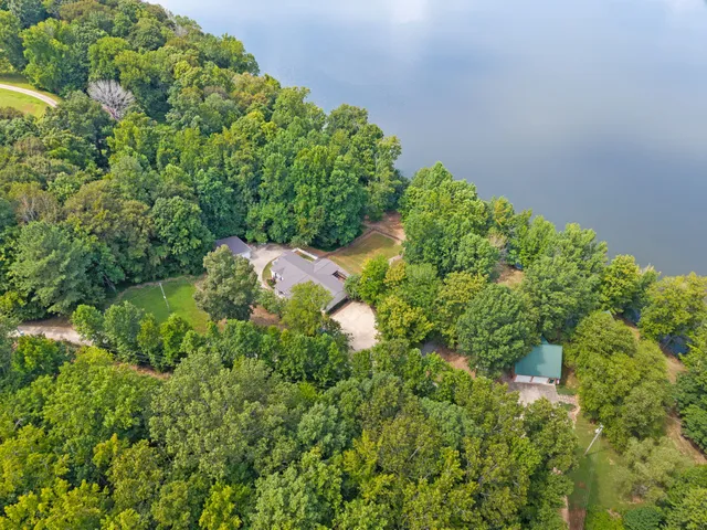 a view of a garden with a plant