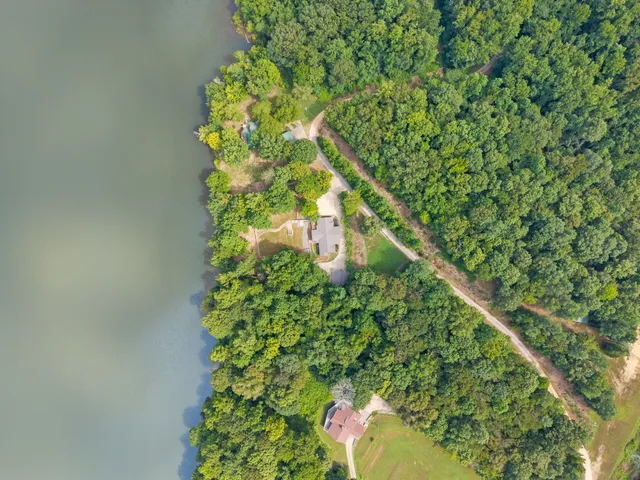 a view of a tree in the middle of a yard