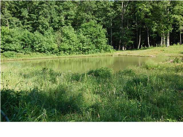 95 Dean Road Dunlap, TN 37327 - Photo 1 of 15 Primary Photo