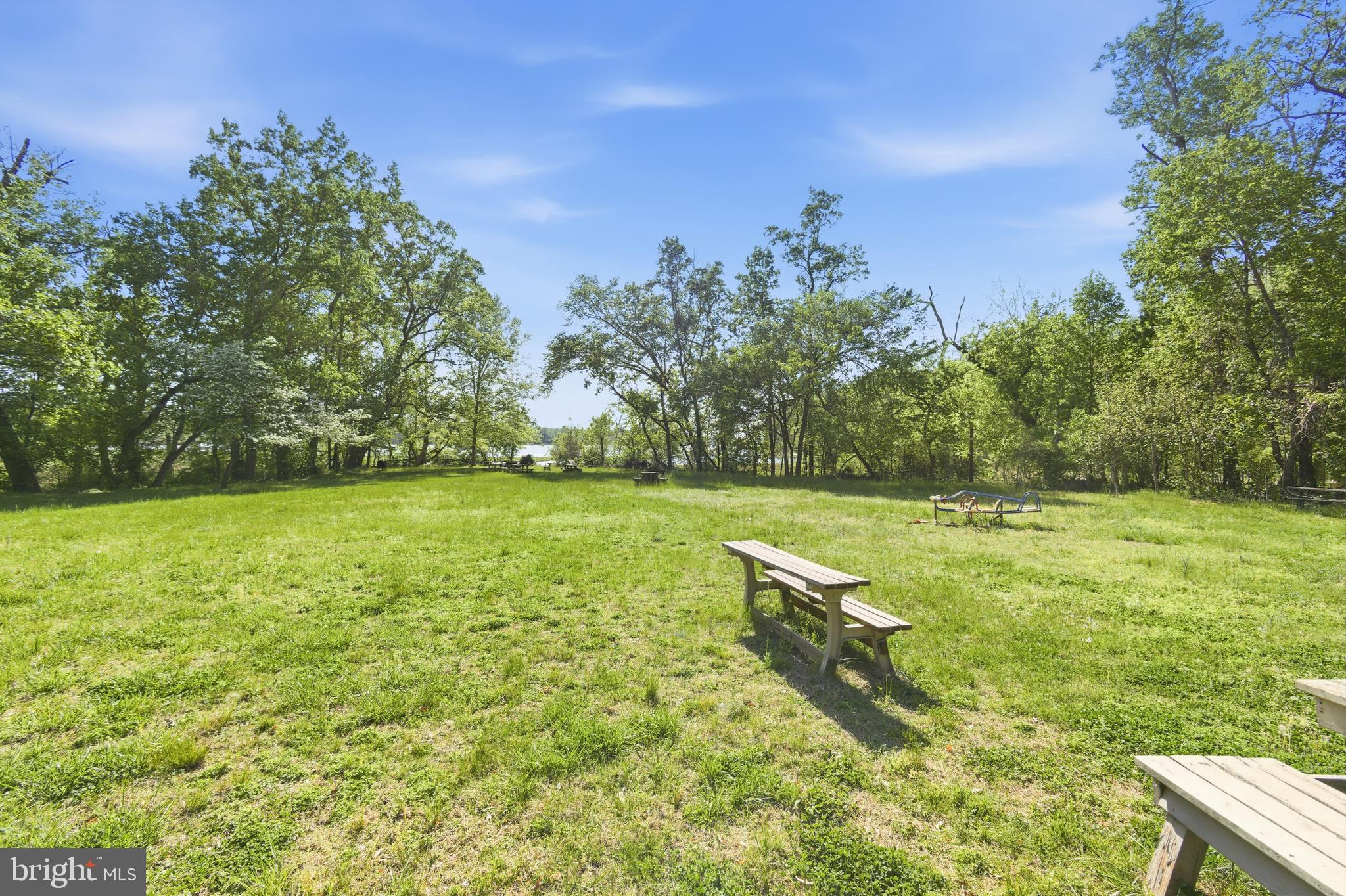13601 Pendleton Street Fort Washington, MD 20744 - Photo 49 of 50 a view of a yard with a tree