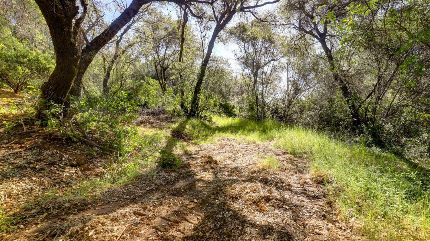 0 Southridge Road Penn Valley, CA 95946 - Photo 59 of 72