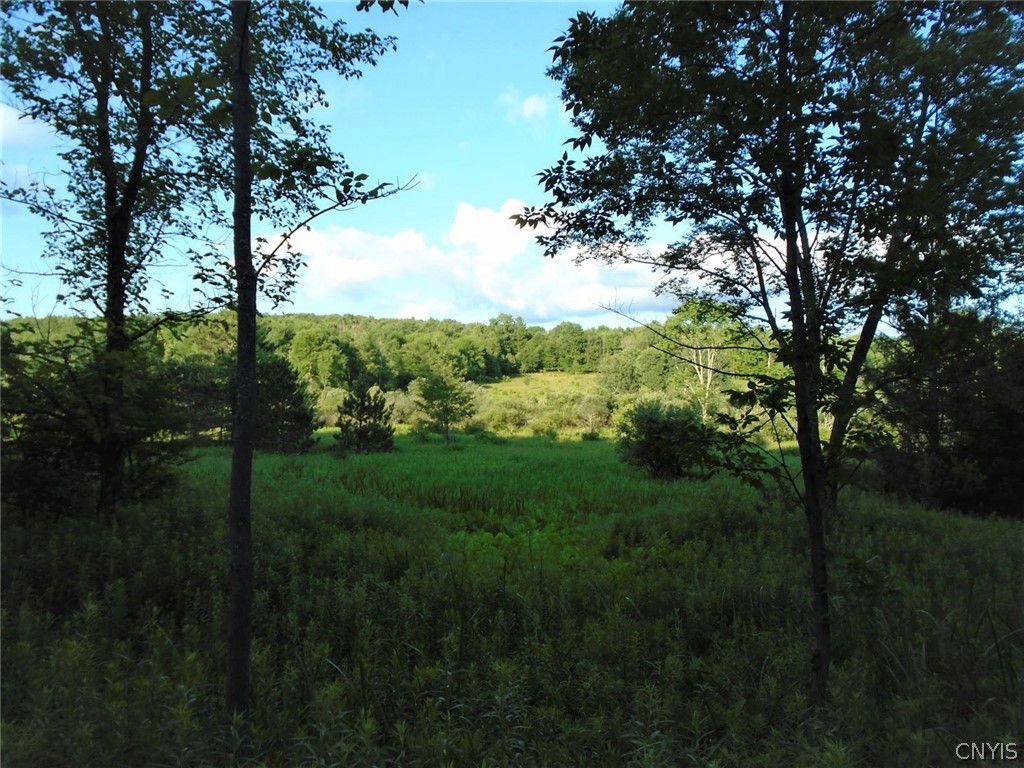 Lot B Pitcher Hill Road Pitcher, NY 13136 - Photo 2 of 29 Gallery Image 2
