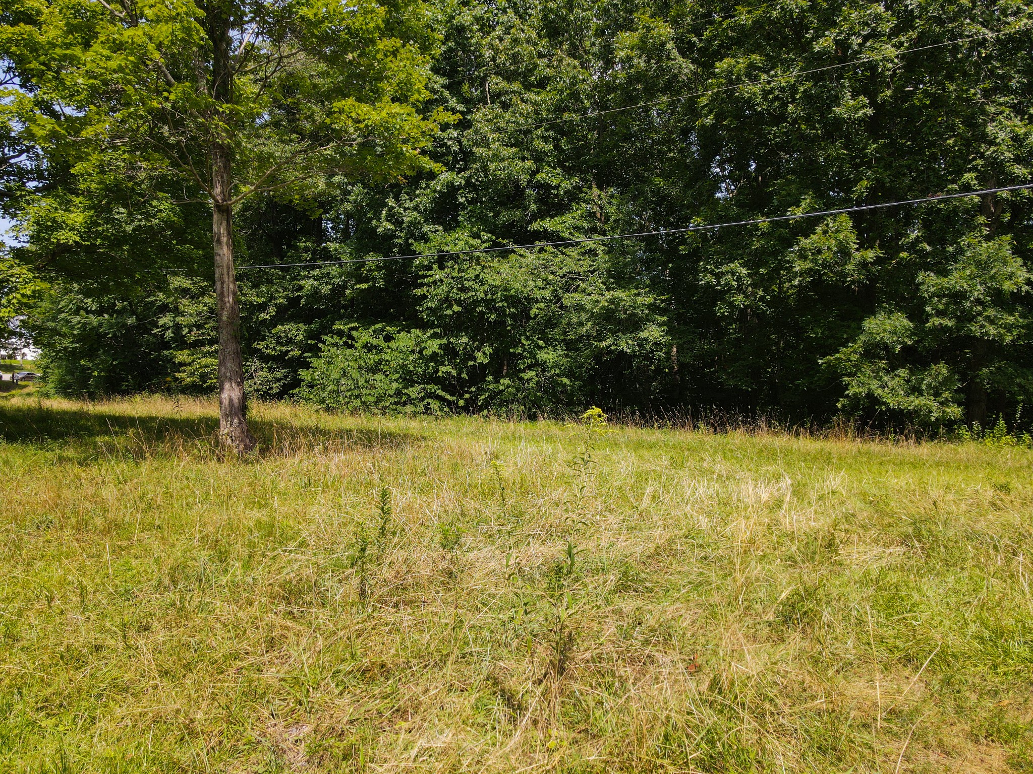 14776 Center Hill Dam Road Silver Point, TN 38582 - Photo 11 of 16 a view of outdoor space with swimming pool