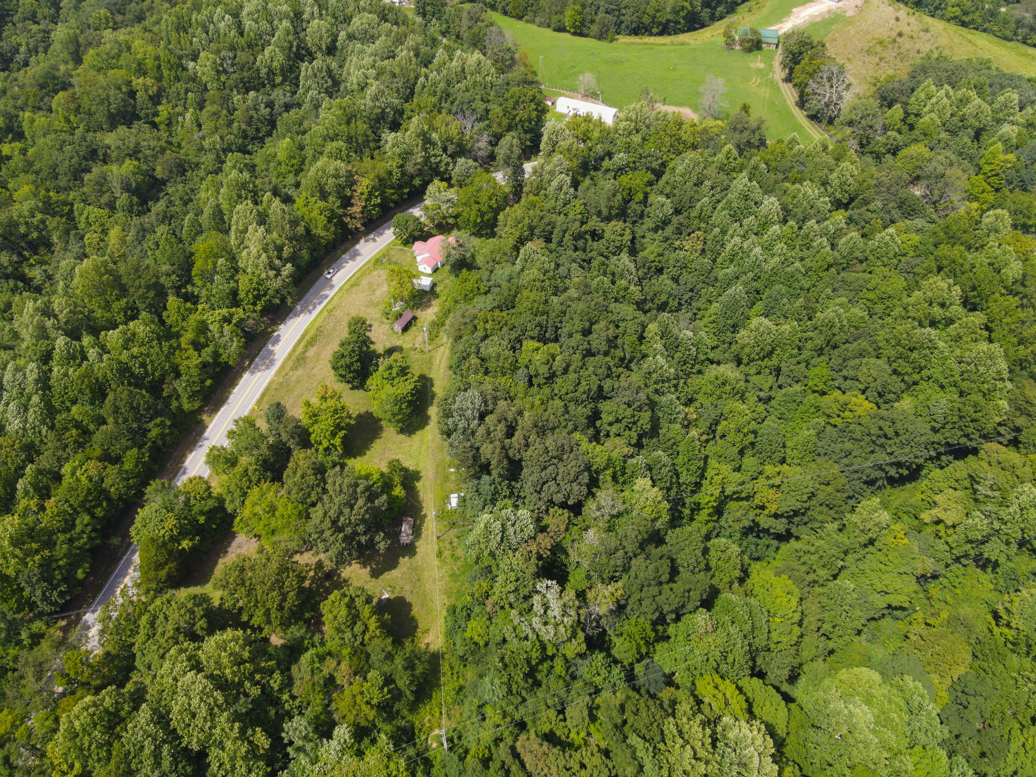 14776 Center Hill Dam Road Silver Point, TN 38582 - Photo 12 of 16 a view of a garden with a plant